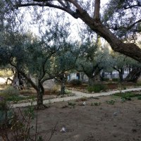 Gerusalemme, Monte degli Ulivi, Santo Sepolcro